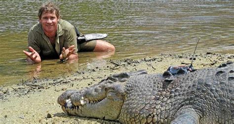 How Did Steve Irwin Die? Inside The Crocodile Hunter's Gruesome Death