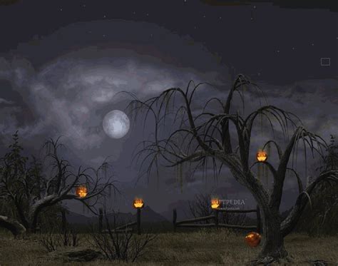 Halloween Animated Wallpaper | delightful ebony gorgeous