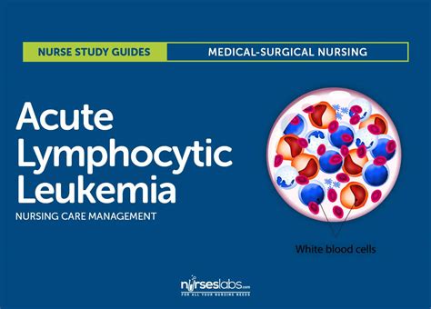 Acute Lymphocytic Leukemia Nursing Care Management: Study Guide