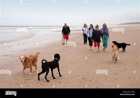 A family walking their dogs on Holkham beach, the North Norfolk coast, UK Stock Photo - Alamy