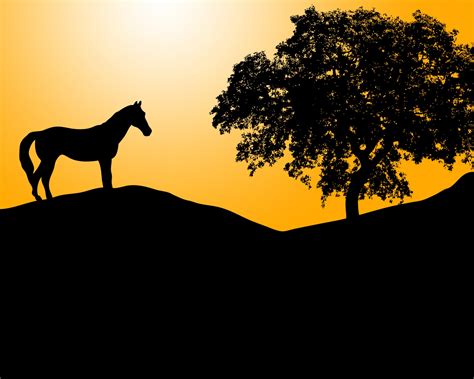 Horse Silhouette At Sunset Free Stock Photo - Public Domain Pictures