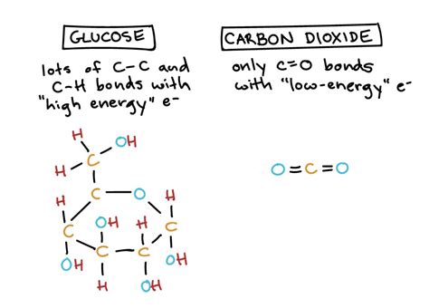 Redox Reactions | Biology for Majors I