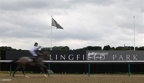 Lingfield Races (With images) | Stock pictures, Racecourse, Image