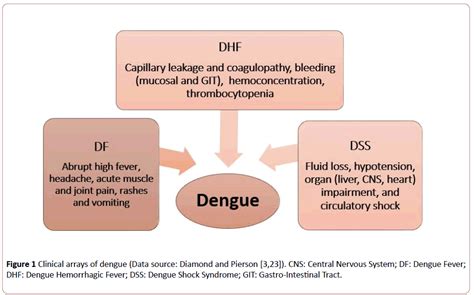 Dengue Shock Syndrome