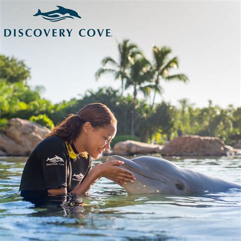 Discovery Cove Orlando Tickets, Packages From £183.31