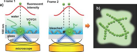 NQPI | Jixin Chen Fine-tunes Nanoscale Imaging Procedure - Ohio ...