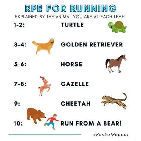 Run Faster - How to Use the RPE Chart for Runners - Run Eat Repeat