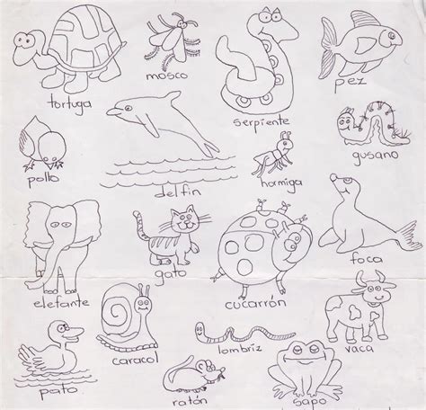 Dibujos Animales Vertebrados E Invertebrados Para Colorear Hoja De Trabajo Animales Vertebrados ...