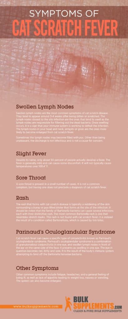 Cat Scratch Fever: Characteristics, Causes & Treatment