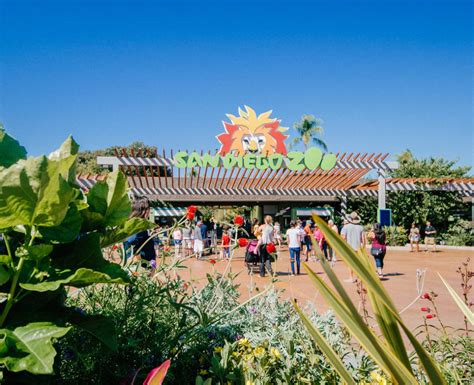 Visiting the San Diego Zoo: What to See and Do