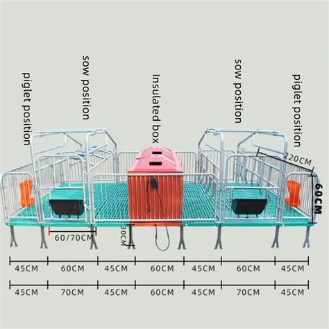 Farrowing crates for sow equipment – Pig Farm Equipment Manufacturer