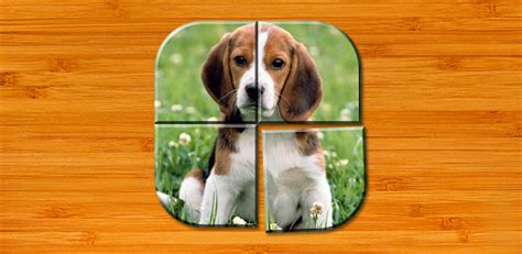 Dog Puzzle Games Free - Apps on Google Play