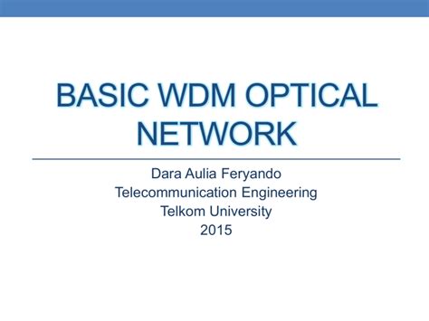 basic wdm optical network