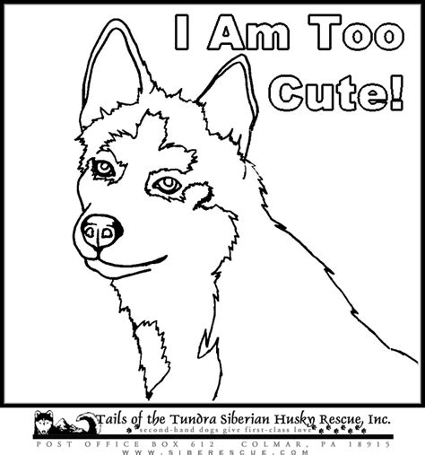 Free Husky Puppy Coloring Pages, Download Free Husky Puppy Coloring ...