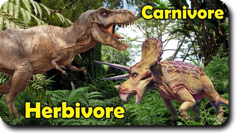 Dinosaurios Carnivoros Y Herbivoros