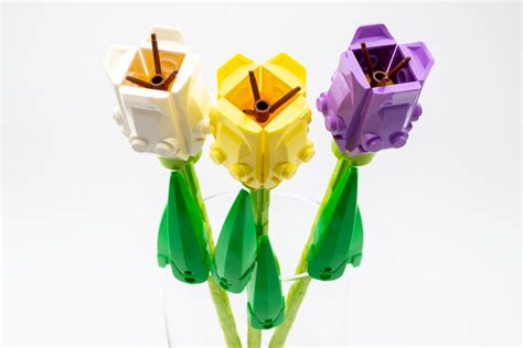 LEGO 40461 Tulips Review