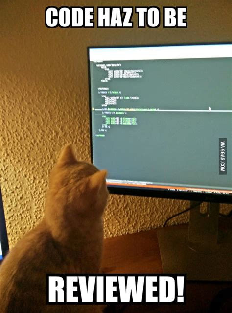 My cat actually helps me coding - 9GAG