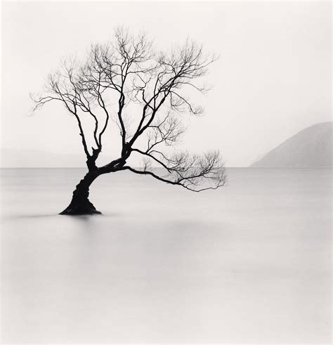 Timber! Michael Kenna's magical trees – in pictures | Black and white ...