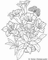 10 Pretty Coloring Pages For Beautiful Artwork  Craze sketch template