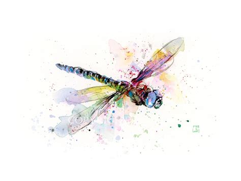 DRAGONFLY Watercolor Print Dragonfly Painting Insect Art - Etsy | Dragonfly painting, Insect art ...