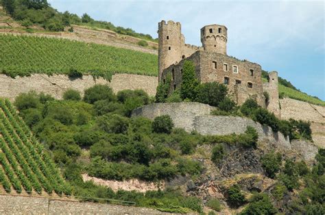 Rudesheim, Germany vineyard and castle ruins | Germany castles, River ...