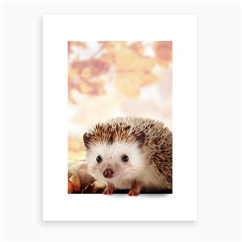 Hedgehog Art Print by Jonas Loose Kids - Fy