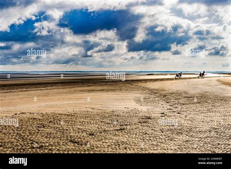 Horses Carts Sulkies Harness Racing Very Large Utah World War 2 D-day Landing Beach Normandy ...