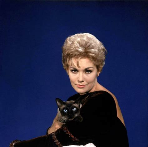 20 Lovely Photos of Kim Novak With Her Cat Pyewacket in “Bell, Book, And Candle” (1958 ...