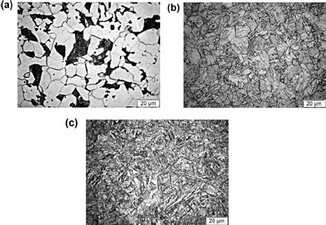 e a. Microstructure of mild steel after heat treatment; b ...