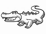 Friendly Crocodile coloring Page  Download Print Or Color Online For Free sketch template