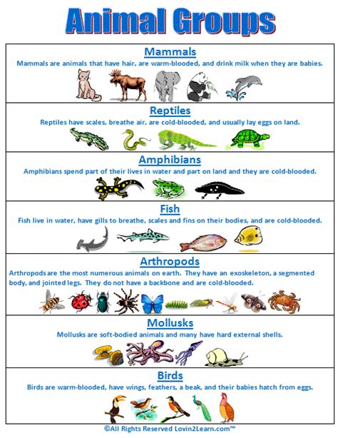 Super Subjects - Super Science - Life Science - Animal Groups - Animal Groups Chart