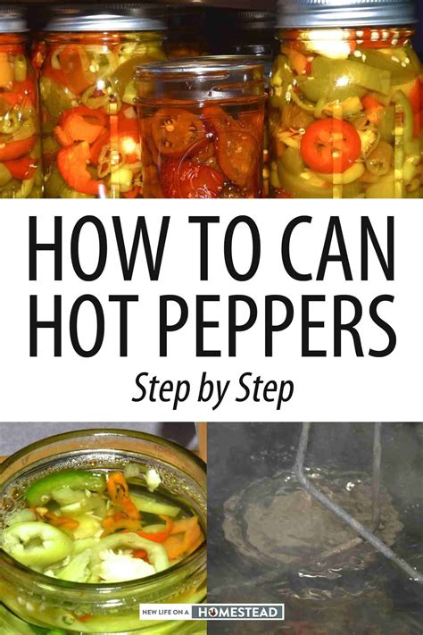 How to Can Hot Peppers Step by Step | Recipe | Stuffed hot peppers, Canning hot peppers, Hot ...