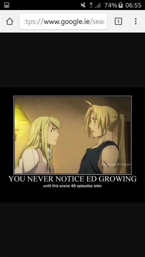 FMA MEMES | Fullmetal Alchemist Amino