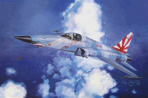 Northrop F-5E Tiger II Shark Nose, VFC-111 'Sundowners' (H. Sasaki & T. Kurokawa) | Aircraft art ...