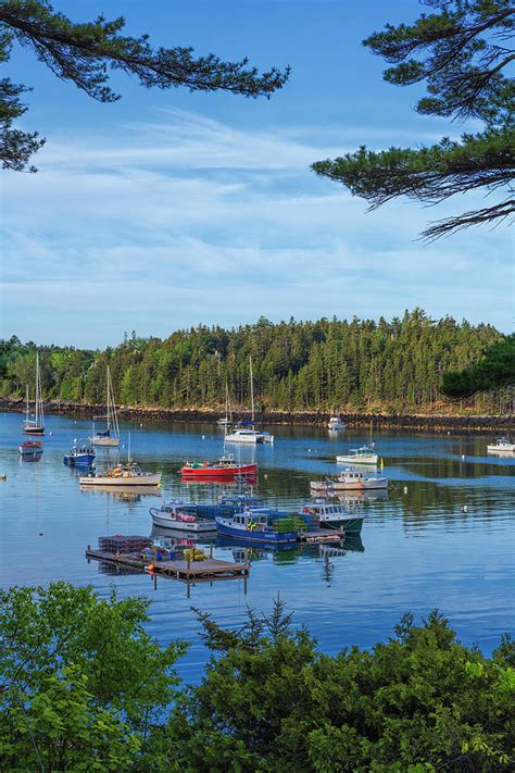 Northeast Harbor #2 Photograph by Dennis Kowalewski | Fine Art America