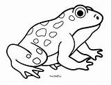 Frog Coloring Pages – 30 Printable  Easy Peasy And Fun sketch template