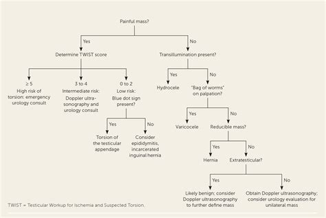 Scrotal Masses | AAFP