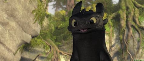 Great pic of Toothless - Toothless True Fanclub Photo (37678183) - Fanpop