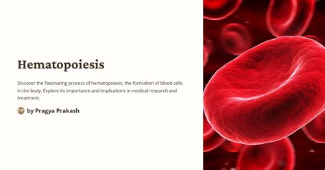 Hematopoiesis