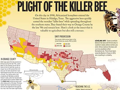 Focus: Killer Bees – Orange County Register