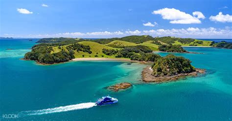 The Bay of Islands Cruise Tour from Auckland - Klook UK