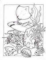 Free Printable Ocean Coloring Pages For Kids sketch template