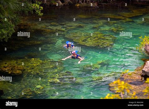 Mexico, Quintana Roo, Xel Ha, Xel-Ha nature / marine park, Swimming ...