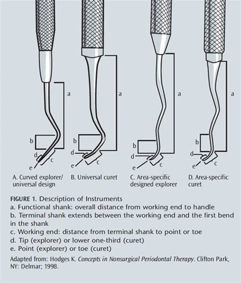 A Close-Up Look at Explorers - Dimensions of Dental Hygiene