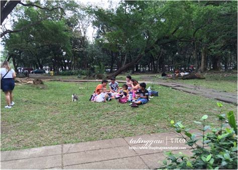 Quezon City | 10 Things To See and Do at Ninoy Aquino Parks and ...