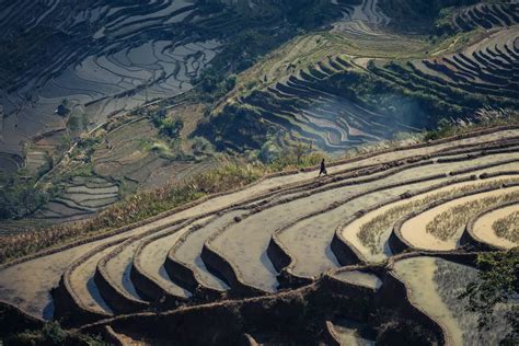 Yuanyang Rice Terraces | Smithsonian Photo Contest | Smithsonian Magazine