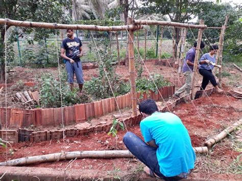 Citizens Turn Bengaluru's Jakkur Lake into Eco-Zone With These Herbs ...