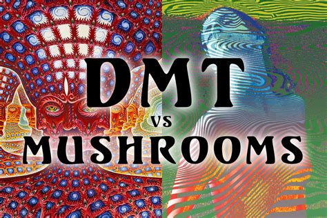 Dmt Trip Visuals