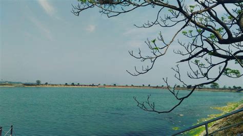 chilika lake | Natural landmarks, Lake, Nature