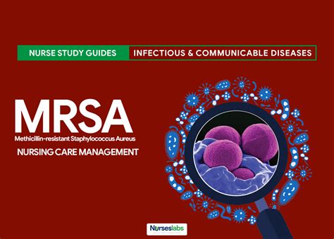 Methicillin-Resistant Staphylococcus Aureus (MRSA) - Nurseslabs